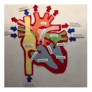 Parts of the Heart Felt Pattern