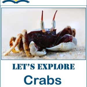 Let's Explore Crabs Project Lapbook