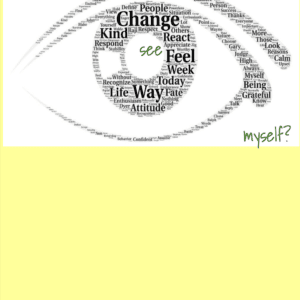 The Mindful Journey for the Growing Reader - Attitude