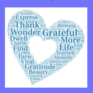 The Mindful Journey Planner - Gratitude