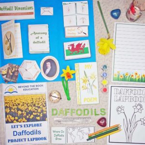Let's Explore Daffodils Project Lapbook