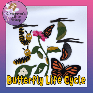 Butterfly Life Cycle Felt Board Pattern - Perfect for Interactive Science Lessons