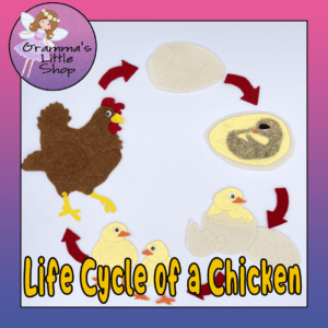 Chicken Life Cycle Felt Board Pattern - Perfect for Interactive Science Lessons for Kids