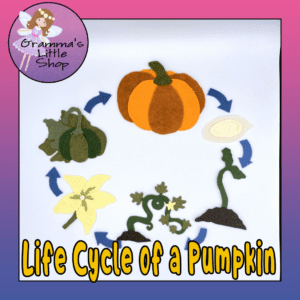Pumpkin Life Cycle Felt Board Pattern - Perfect for Interactive Science Lessons for Kids