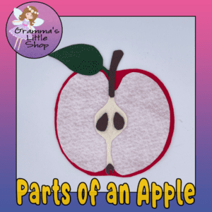 Apple Anatomy Educational Felt Pattern with Instruction & Worksheet