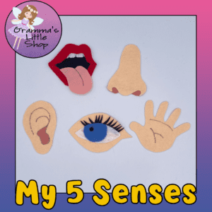 5 Senses Felt Craft Set: 5 Items for Each Sense, Directions, and Printable Worksheet