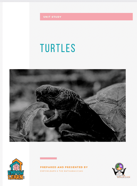 Turtle Unit Study