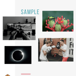 Sample Unit Study